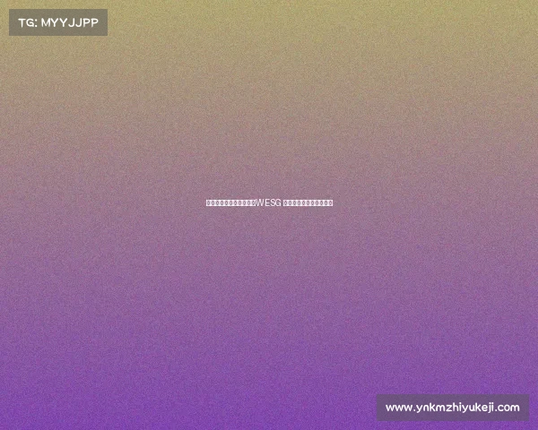 首届世界电子竞技运动会WESG 世界第一场电子竞技比赛